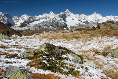 _DSC1673_web.jpg