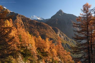 _DSC1892_web.jpg