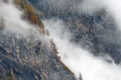 _DSC1859_web.jpg
