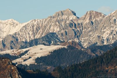 LANDSCAPES