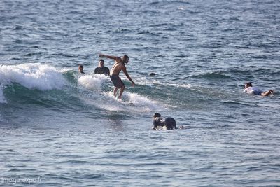 g13/02/1001402/3/174920129.d7abe5eb.JPEG