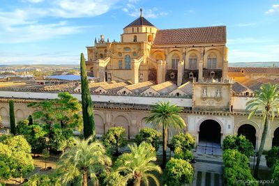 Cordoba