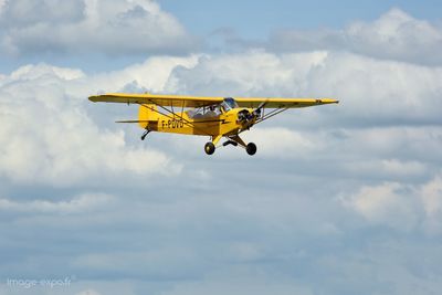 202505LFGN01s.jpg