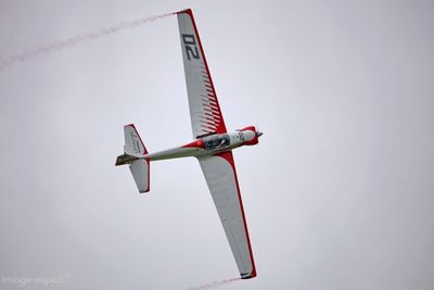 g13/02/1001402/3/175810104.88979e64.JPEG
