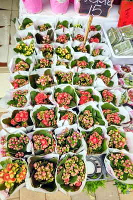 Hong Kong streets & markets