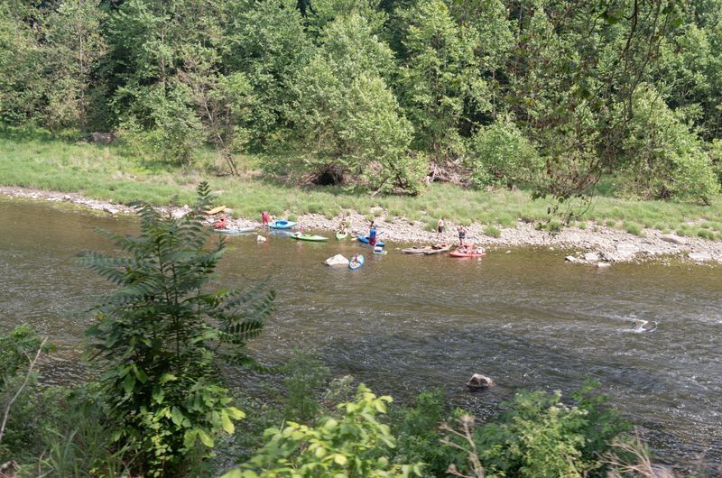 South Branch Potomac River