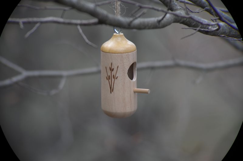 Cute, but will it be Functional(?)