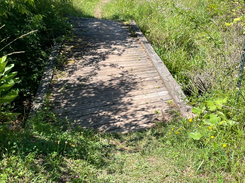 Wooden Bridge over Idleman Run