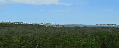 View from Leffis Key Preserve