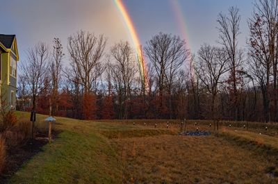 Double Rainbow