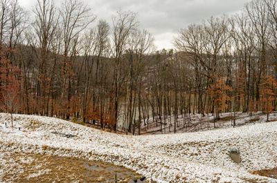 Our Lake Frederick View