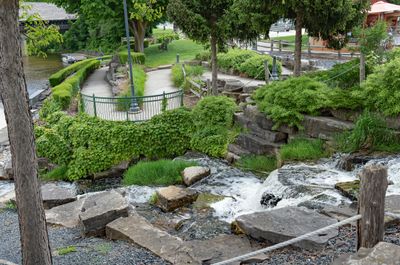 River Place Landscape