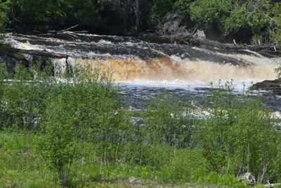 View of Lower Falls