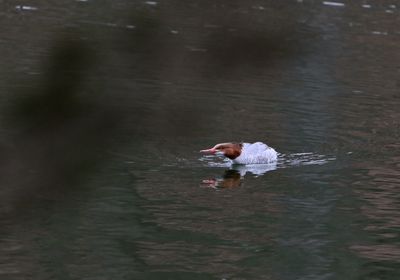 g13/02/1030802/3/175252060.b0c0c3a8.JPEG