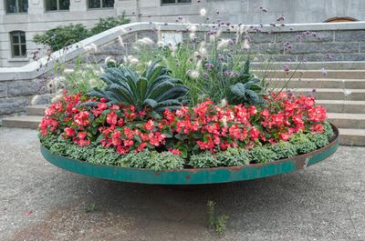 g13/02/1030802/3/175802001.92f6e298.JPEG