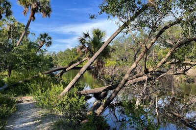 Southwest Florida