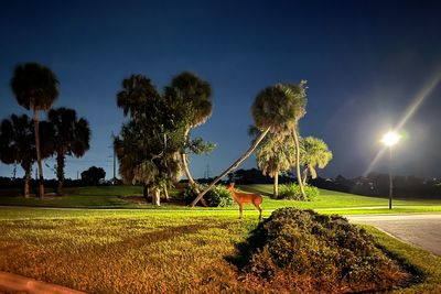 Southwest Florida