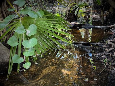 Southwest Florida