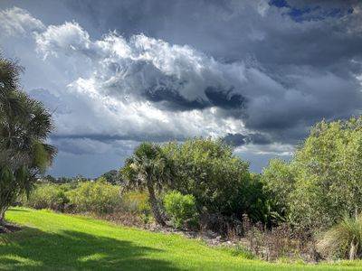 Southwest Florida