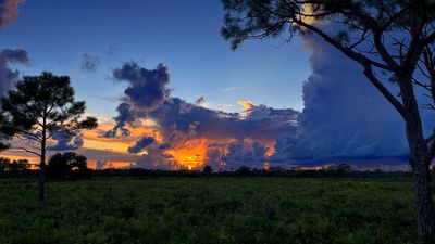 Southwest Florida