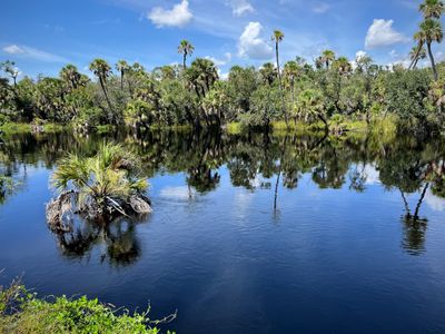 Southwest Florida