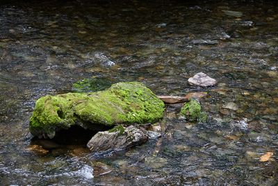 _Y5R1354web 1.jpg