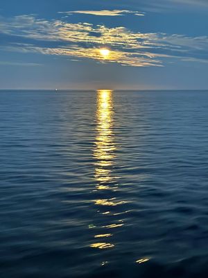 IMG_8385web.jpg