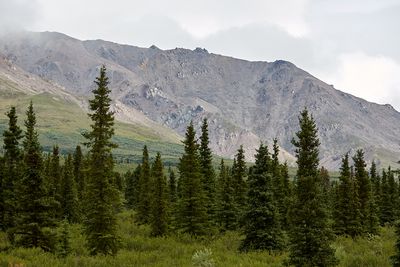 _Y5R3268web.jpg