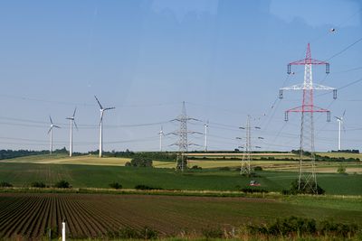 IMG_5420web.jpg