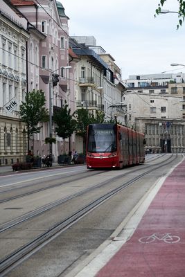 IMG_5484web.jpg