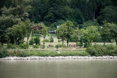 IMG_5586web.jpg