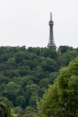 IMG_5841web.jpg