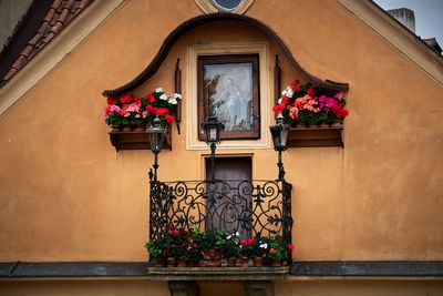 IMG_5919web.jpg