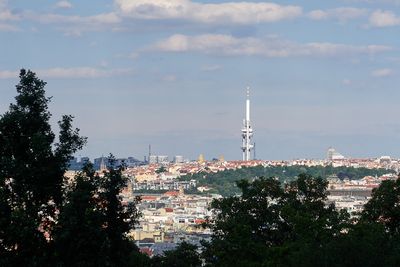 IMG_6043web.jpg