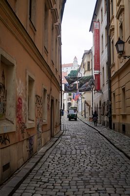 IMG_5210web.jpg