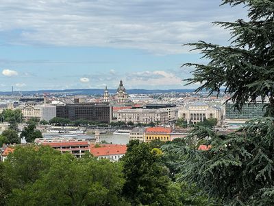 IMG_6142web.jpg