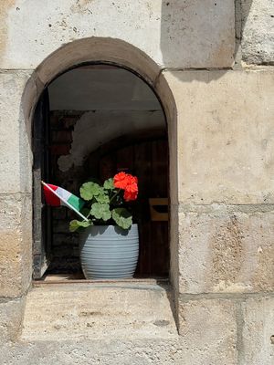 IMG_6170web.jpg