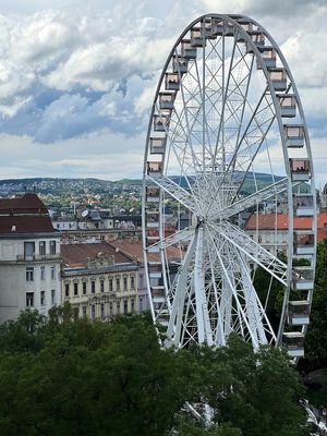 IMG_6201web.jpg