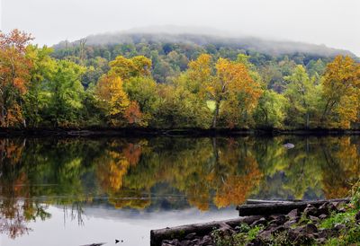 Fall color on the Clinch River