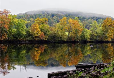 Water and Landscapes