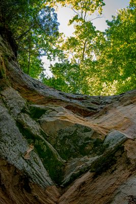 IMG_9527.JPG