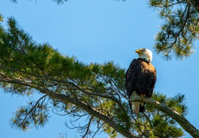 IMG_9587.JPG