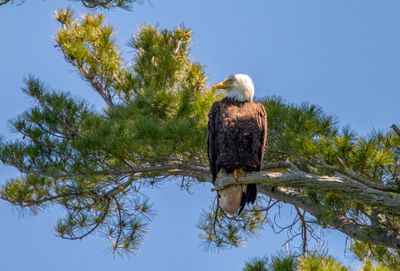 IMG_9619.JPG