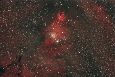 NGC2264 - The Christmas Tree Cluster in Monoceros 24-Dec-2022
