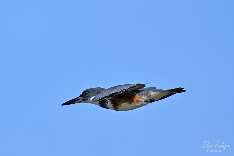 DSC_1645 2.jpg