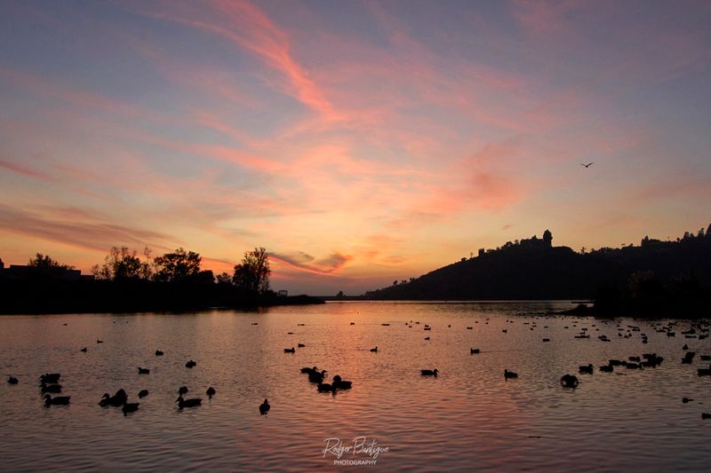 tonight at Lake Murray