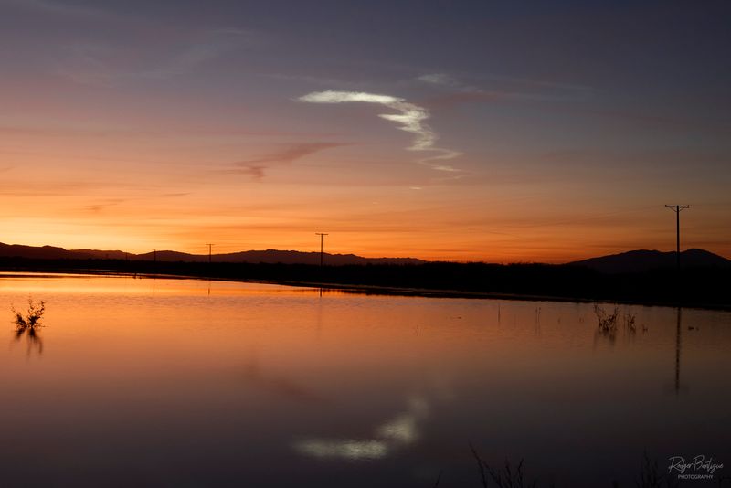 Trail left from Space X launch.