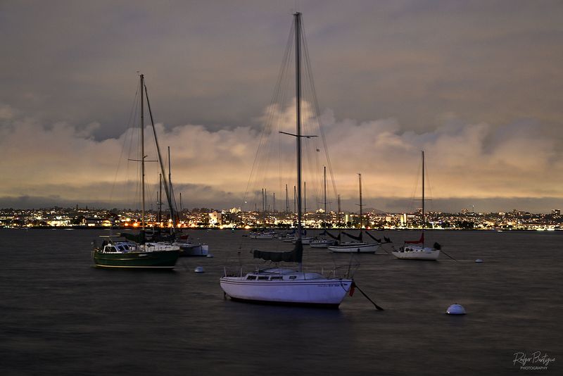 DSC_0309.jpg