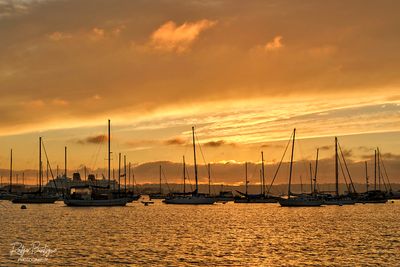 Golden Light at the bay