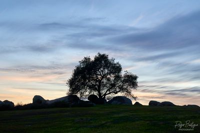 Beautiful evening at the Ramona Grasslands